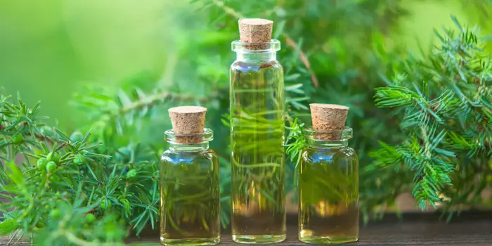 روغن درخت چای